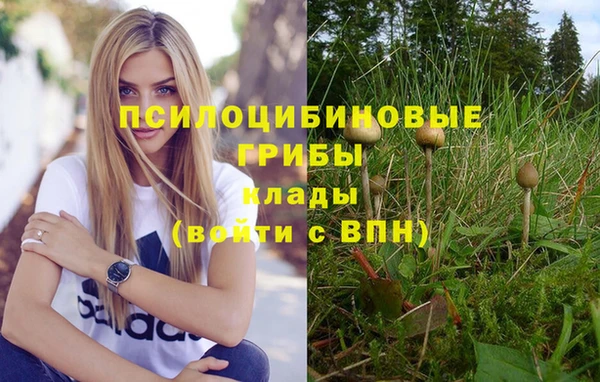гашик Аркадак