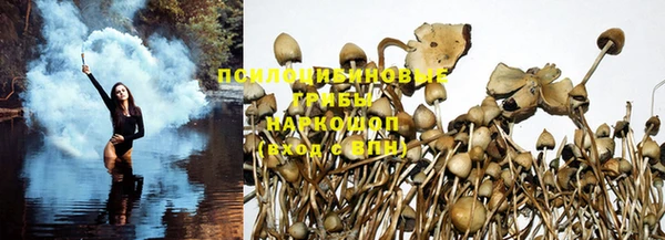 PSILOCYBIN Сатка