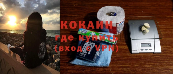 прущие грибы Армянск
