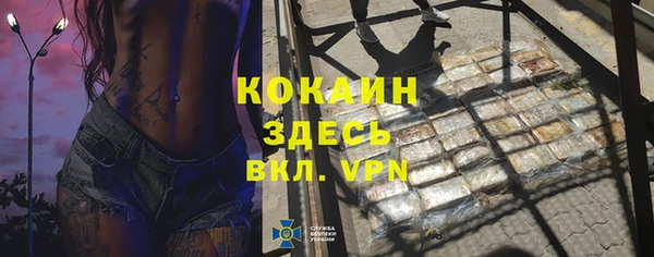 PSILOCYBIN Сатка